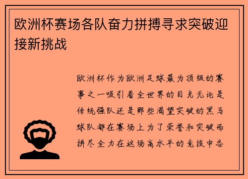 欧洲杯赛场各队奋力拼搏寻求突破迎接新挑战