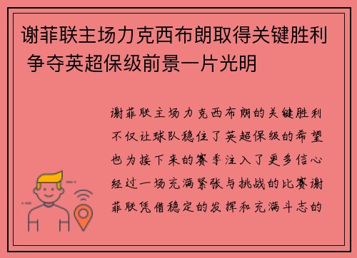 谢菲联主场力克西布朗取得关键胜利 争夺英超保级前景一片光明